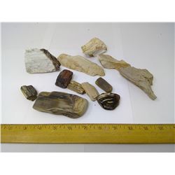 PETRIFIED WOOD COLLECTION