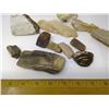 Image 2 : PETRIFIED WOOD COLLECTION