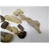 Image 4 : PETRIFIED WOOD COLLECTION