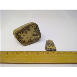 SASKATCHEWAN PICTURE DOLOMITE