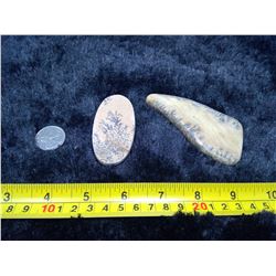 2 Saskatchewan Picture Dolomite - Specimen and Cabochon