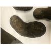 Image 3 : THREE PRIMITIVE FIELD STONE TOOLS