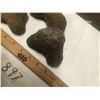 Image 3 : THREE PRIMITIVE FIELD STONE TOOLS