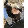 Image 4 : WESTERN SADDLE WITH STIRRUPS