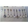 Image 3 : Spoon Rack with Spoon Collection (16 Spoons)