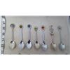 Image 2 : Spoon Rack with Spoon Collections (21 Spoons)