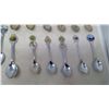Image 4 : Spoon Rack with Spoon Collection (21 Spoons)