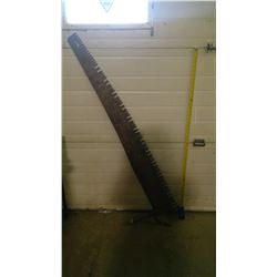 One-Man Cross Cut Saw (55") - Good Handles