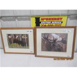 MNO 2) Moose 1) Moose Photo 1) Moose Print  By Jennifer Man 18" x 21"