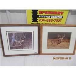 MNO 2 Deer Photos 1) Deer Photo w Record Rack 1) Print Woodland Encounter by Neil Blackwell 16" x 18