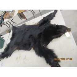 VWY Tanned Black Bear Rug