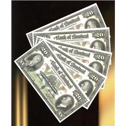 A very nice and attractive consecutive 