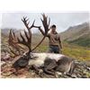 Image 1 : Alaska: Governors SC827 Central Alaska Range Caribou (same as DC827) Permit for 1 Hunter.