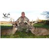 Image 3 : Ohio: 3 Day 4 Night Trophy Whitetail Deer Hunt Two Hunters/Including $2,000 in Shared Trophy Fee