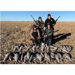 Texas: 3 Day 3 Night West Texas SandHill Crane Hunt for Two Hunters