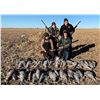 Image 1 : Texas: 3 Day 3 Night West Texas SandHill Crane Hunt for Two Hunters