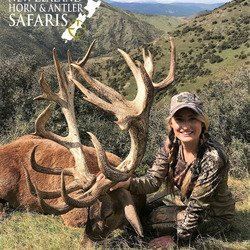 New Zealand:  4 Day, 2 Hunters Guided Hunt for 1 Red Stag and 1 Arapawa Ram each.