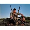 Image 3 : Argentina: 4 Day Big Game Hunt for 1 Hunter, includes 1 blackbuck and 1 wild boar