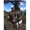 Image 8 : Argentina: 4 Day Big Game Hunt for 1 Hunter, includes 1 blackbuck and 1 wild boar