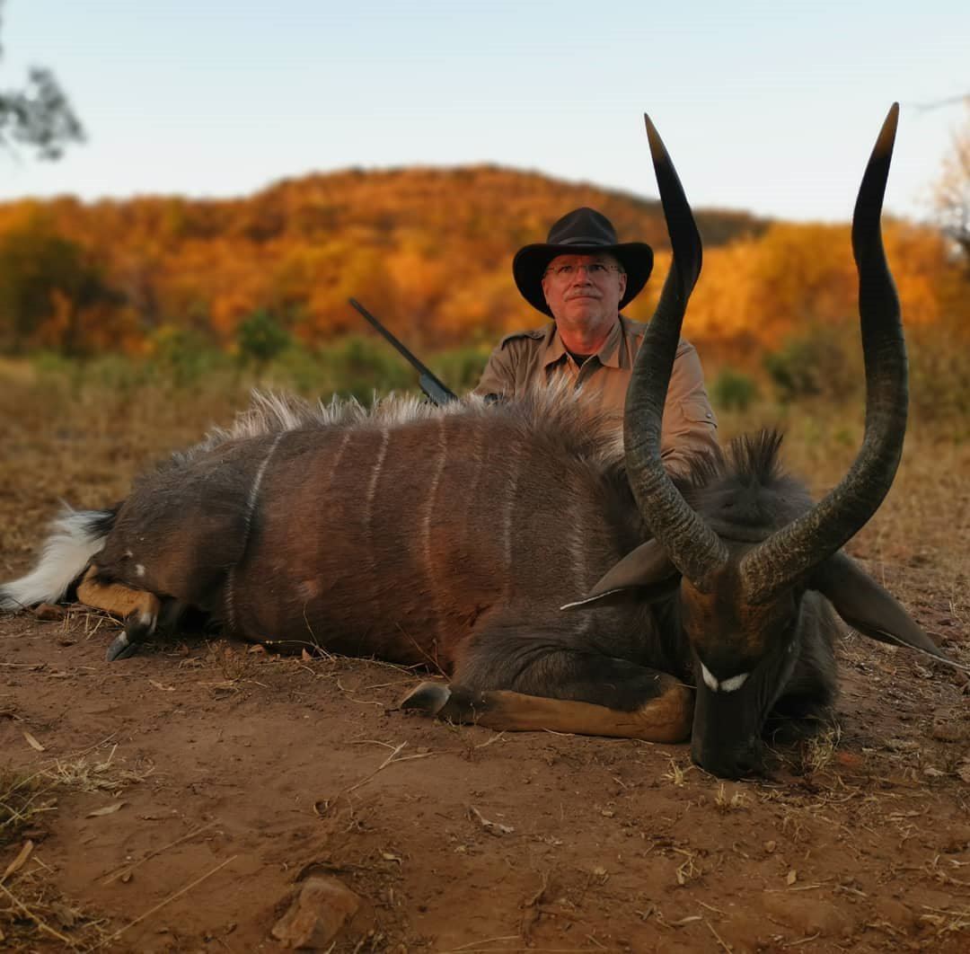 South Africa 7 Day Plains Game Safari for 3 Hunters / Includes 5