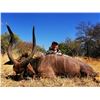 Image 8 : South Africa: 7 Day Plains Game Safari for 3 Hunters / Includes 5 trophies   10 cull animals