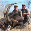 Image 4 : South Africa: 10 Day Plains Game Safari for 2 Hunters / Includes 1 Cape Buffalo and 1 Sable Bull