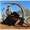 Image 6 : South Africa: 10 Day Plains Game Safari for 2 Hunters / Includes 1 Cape Buffalo and 1 Sable Bull