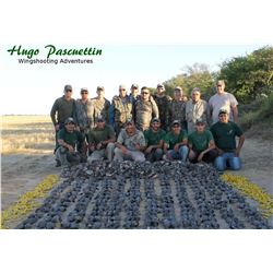 Argentina: 4 Day 6 Night High Volume Dove Hunt for 4 Hunters