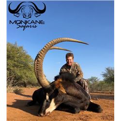 South Africa: 7 Day Plains Game Hunt for 1 Hunter & 1 Observer/Includes a $1,500 Trophy Fee credit.