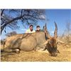 Image 3 : South Africa: 7 Day Plains Game Hunt for 1 Hunter & 1 Observer/Includes a $1,500 Trophy Fee credit.