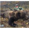 Image 1 : Alaska Governors SB470 ( same as DB470) Chugach Brown Bear Permit  Season: 09/01/2020 - 05/31/2021