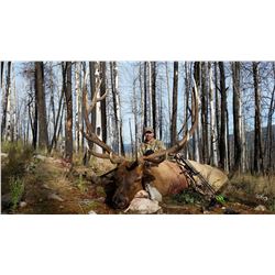 New Mexico: 5 Day Elk/Bear Combination Rifle or Muzzle loader hunt for 2 hunters.