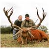 Image 1 : Argentina: 6 Day Red Stag Hunt for 1 hunter. Includes 1 red stag, 1 wild boar & 1 Day dove hunting