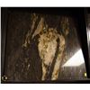 Image 1 : LARGE GRANITE SLAB