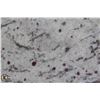 Image 2 : LARGE WHITE & RED SPECKLED GRANITE SLAB
