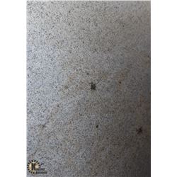 LARGE LIGHT GREY GRANITE SLAB W/ ROUGH EDGES