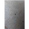 Image 1 : LARGE LIGHT GREY GRANITE SLAB W/ ROUGH EDGES