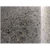 Image 1 : LARGE GREY GRANITE SLAB W/ ROUGH EDGES
