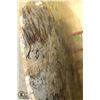 Image 1 : LARGE GRANITE SLAB W/ ROUGH EDGES