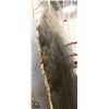 Image 2 : LARGE GRANITE SLAB W/ ROUGH EDGES