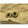 Image 2 : 4 sets of good quality german made bobcat taxdermy eyes