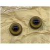 Image 2 : 4 sets of good quality german made Timberwolf taxdermy eyes