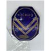 Image 2 : 1930's Enamel Citron Radiator badge