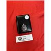 Image 3 : 1971  Canadian dollar in RCM box