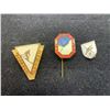 Image 2 : 3 vintage ski pins revelstoke ski club etc
