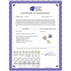 Image 2 : 14K Yellow Gold 2.04 ctw Natural Diamond Stud Earrings - REF-519A2W