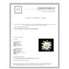 Image 3 : 9mm Pearl 14K Yellow Gold Ring