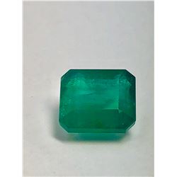 9.76ct Emerald Emerald cut