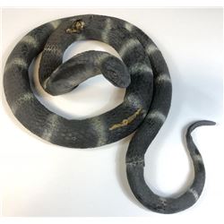 Raiders of the Lost Ark (1981) - Cobra Snake