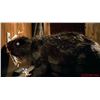 Image 8 : Zombeavers (2014) - Life-Size Zombie Beaver